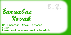 barnabas novak business card