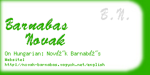 barnabas novak business card